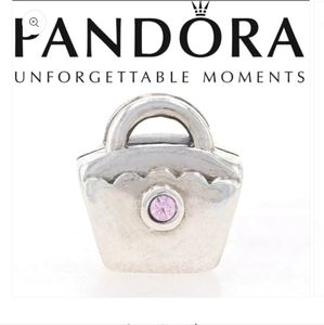 Retired Pandora Pink Girl Purse Bead Charm